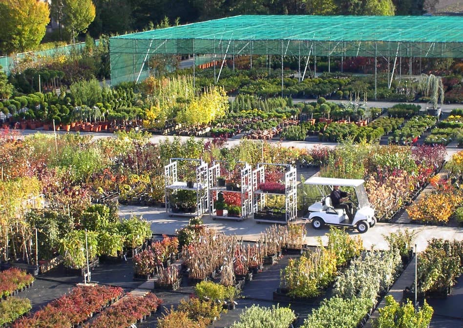 Kräuter und Gemüse aus professioneller Gartenbauproduktion